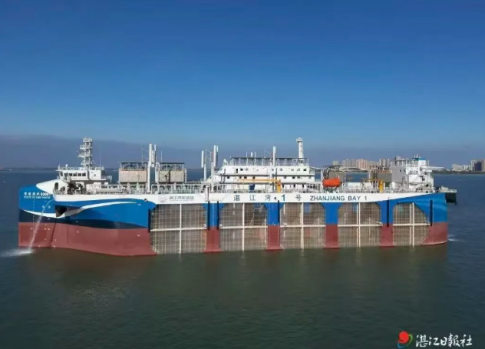 1764569753559005631.png image.png